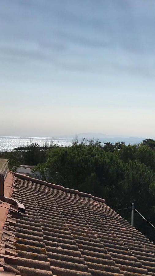 Vias Plage : Residence Securisee Bord De Mer Екстер'єр фото